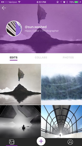 Hippo Pics gallery image