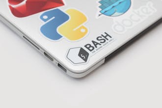 LidLayer gallery image