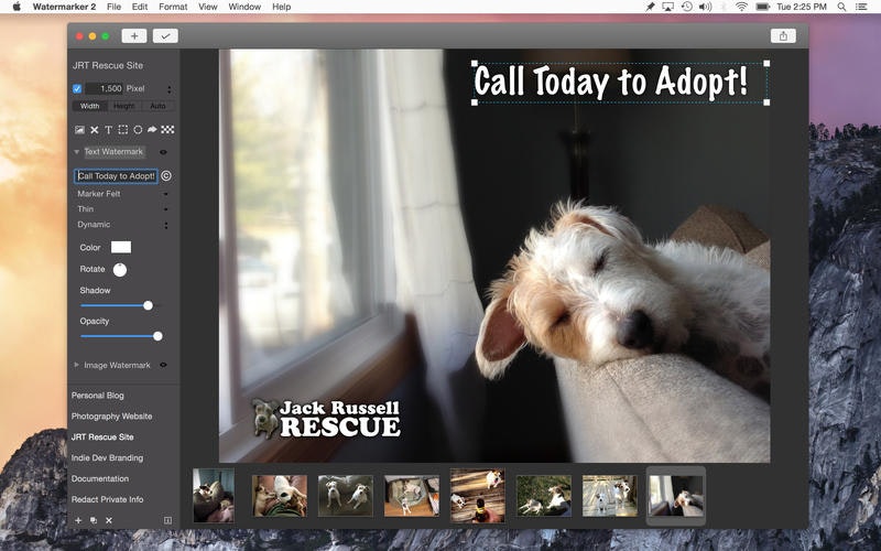 Watermarker gallery image