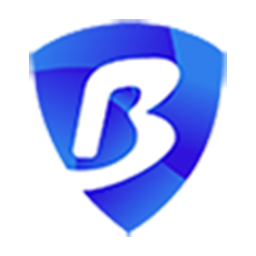 BitBrowser 