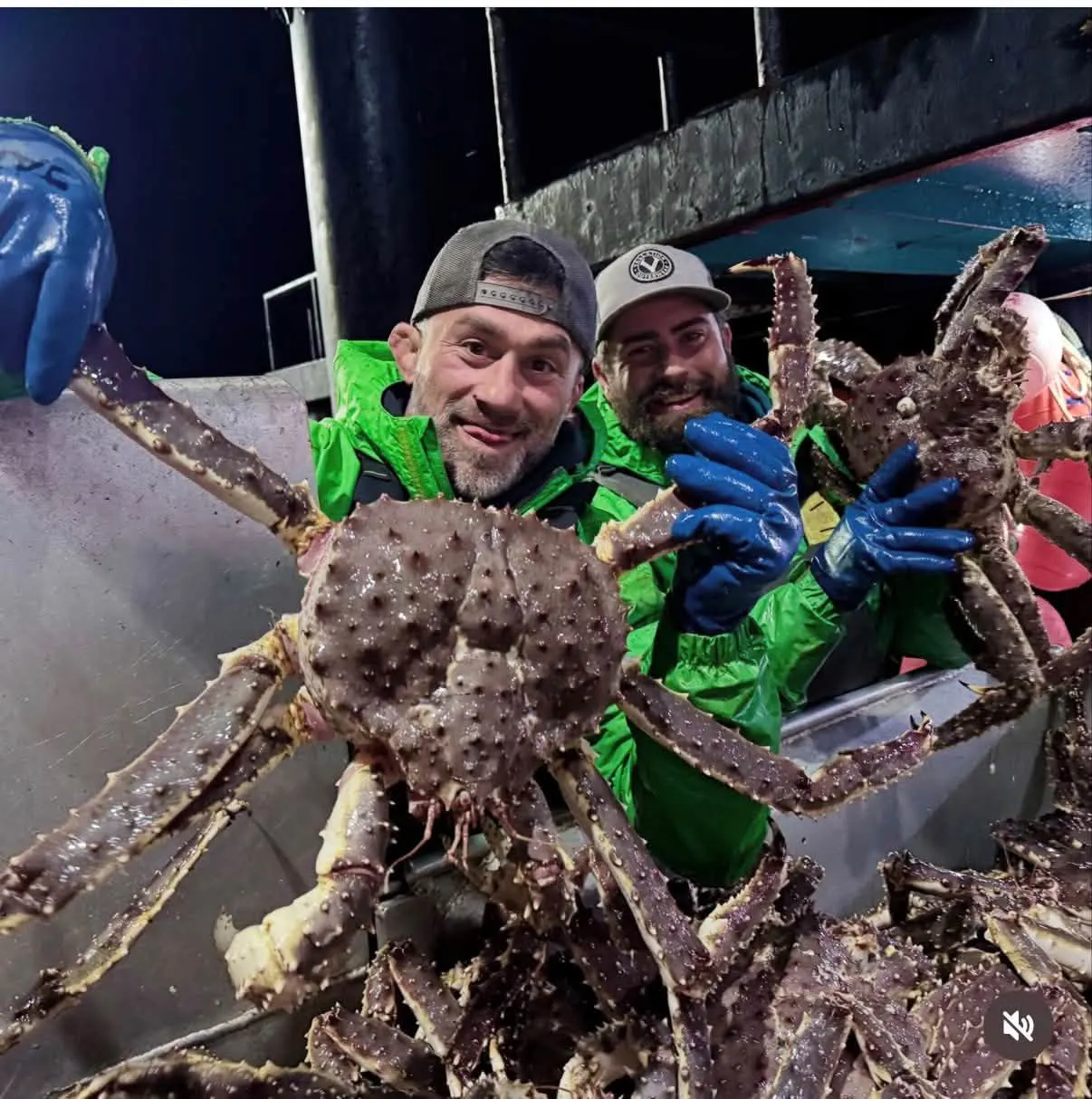 King Crab Premium Red King Crab Supplier gallery image