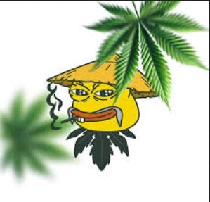 Cannabis-Deal.com gallery image