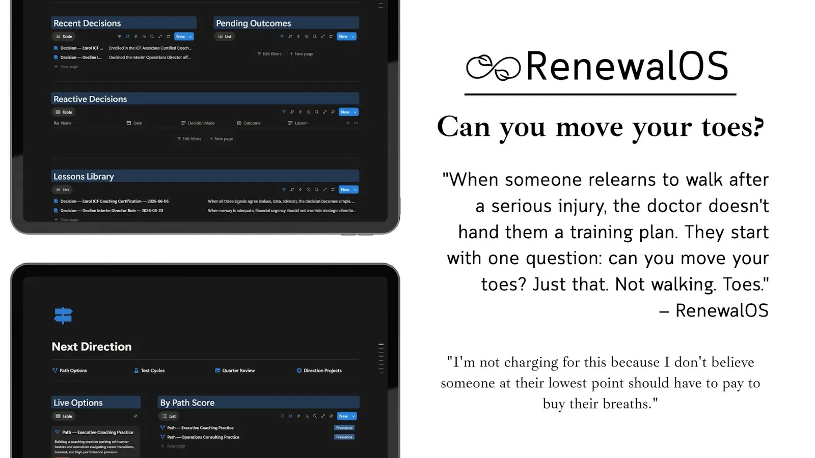  RenewalOS screenshot 5