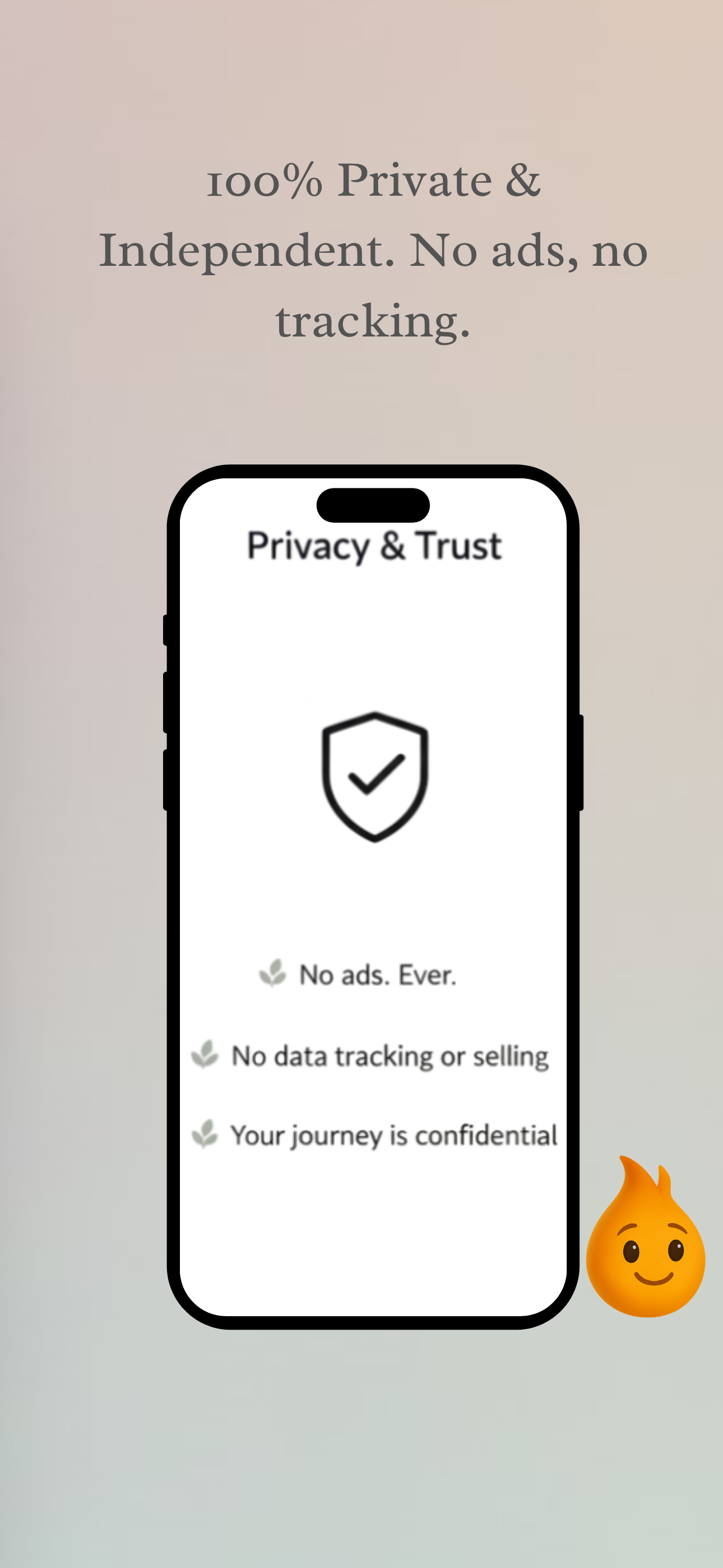 R.I.S.E. gallery image