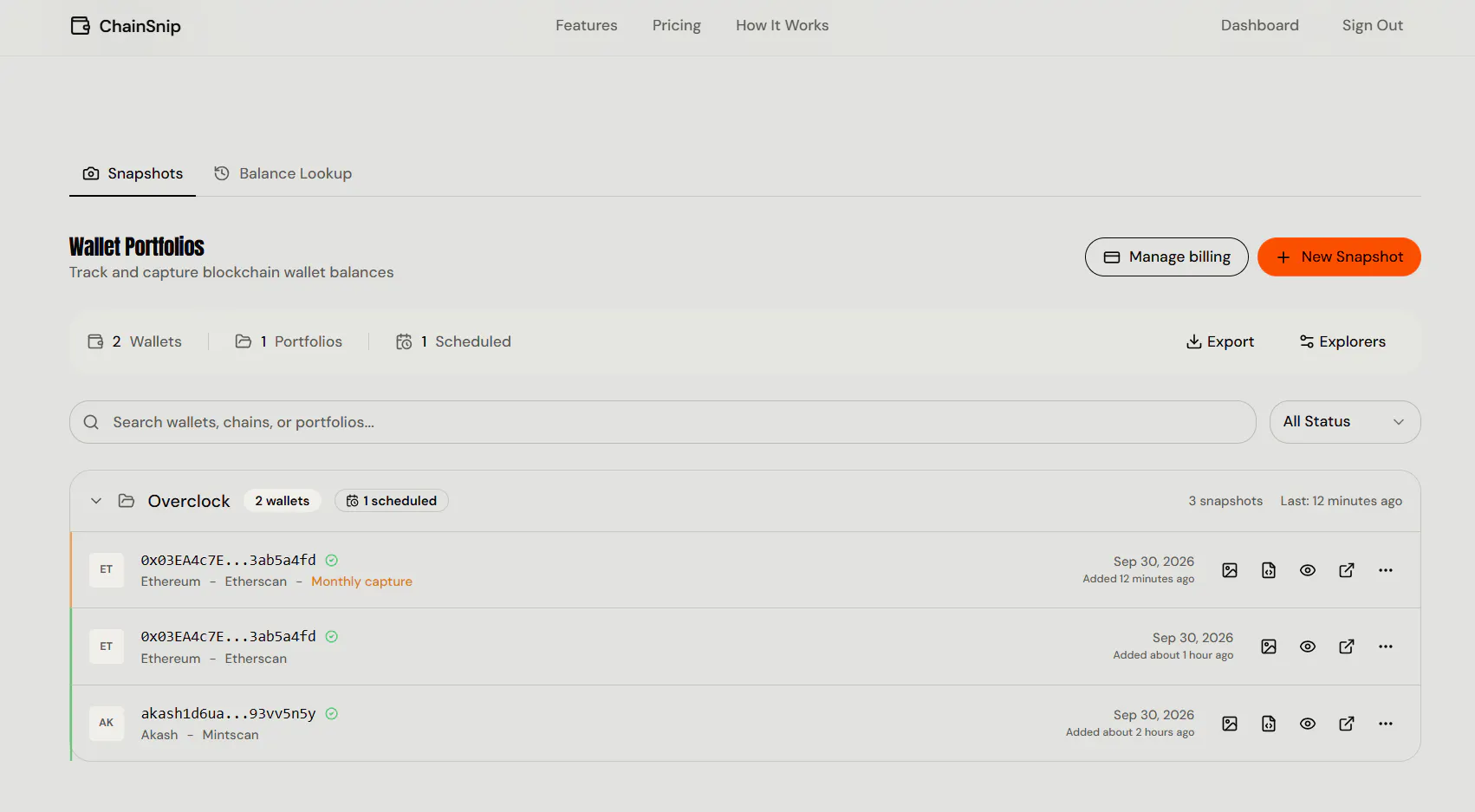ChainSnip gallery image