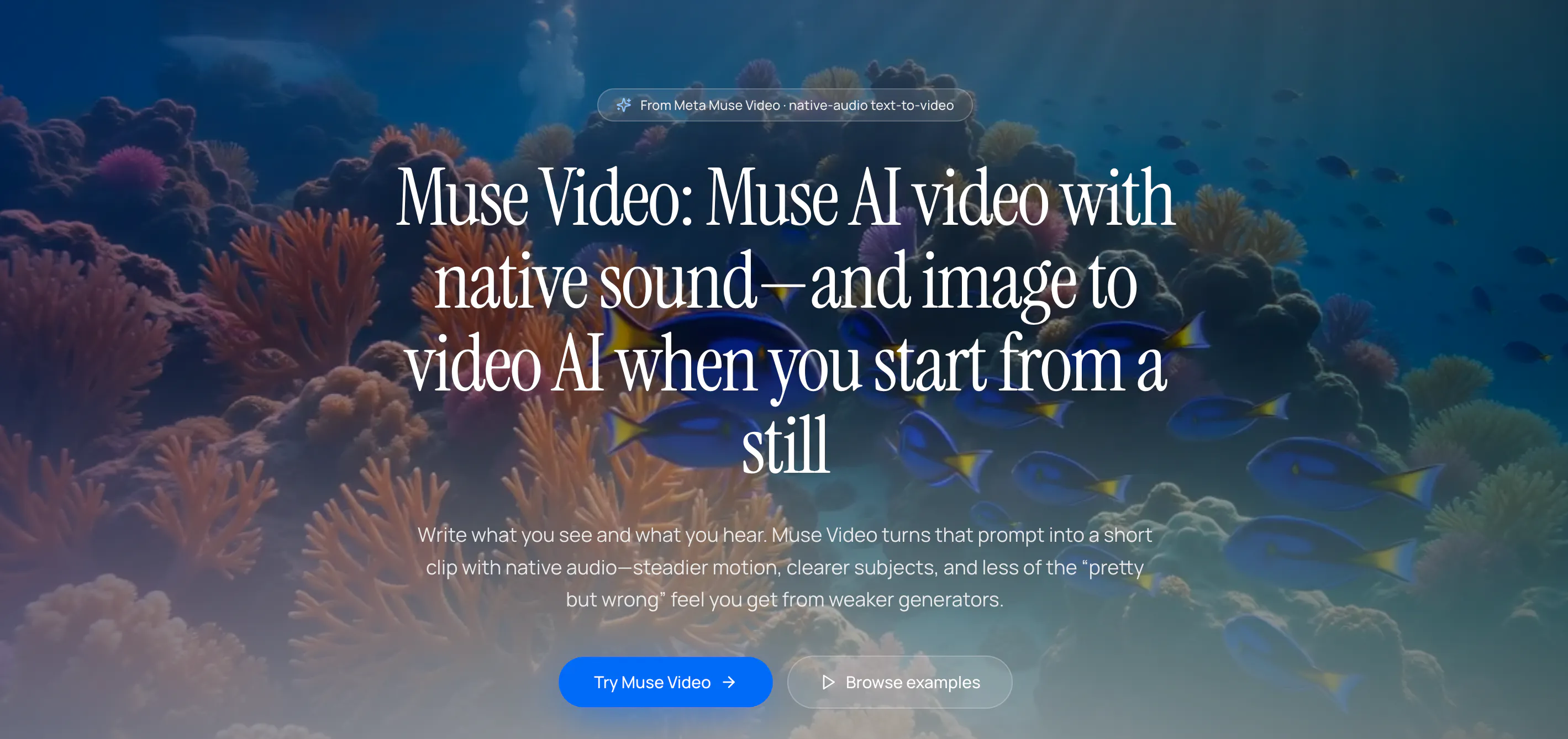 MuseVideo gallery image