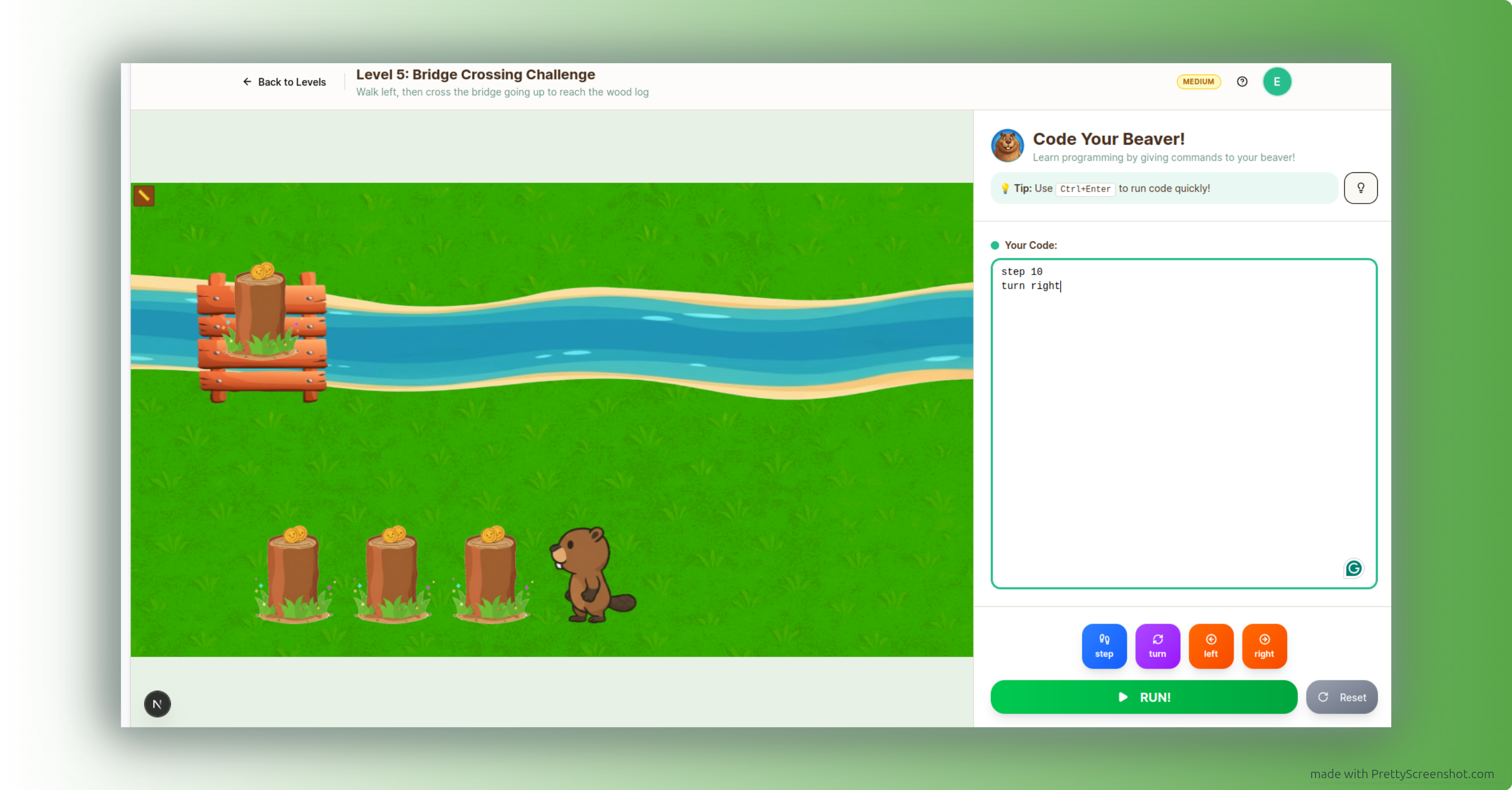 CodeBeaver.org gallery image