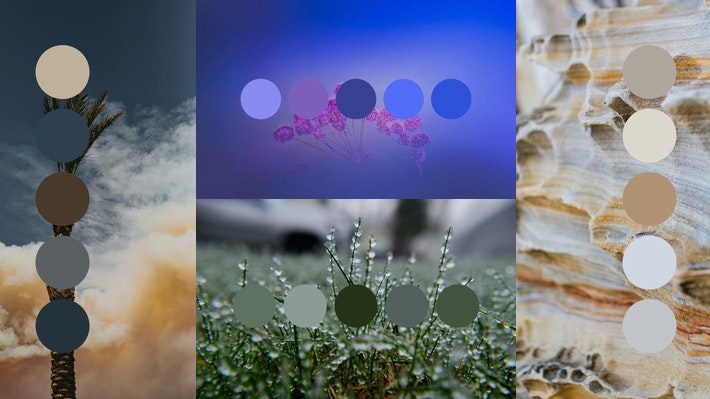 colorpalettes.earth gallery image