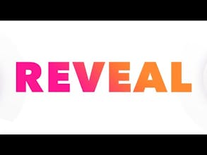 Firework gallery image