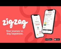 Zigzag Puppy Training App media 1