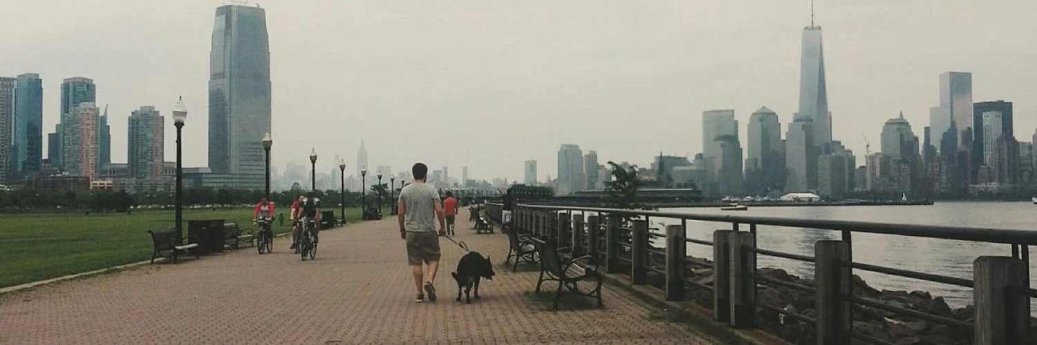 Willem Ellis Jr. cover