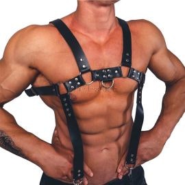 Premium Leather Harnesses - Main screenshot showing features and interface