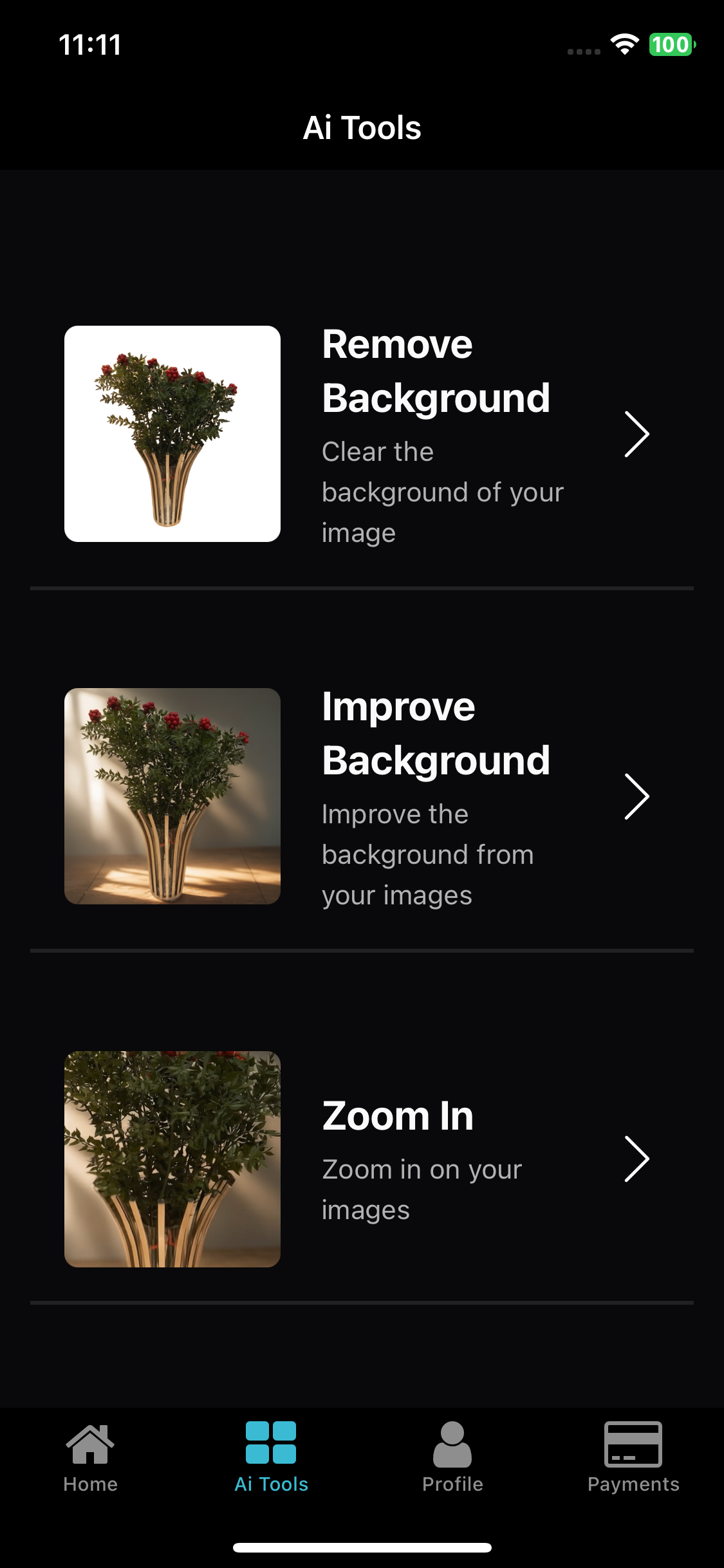 Vitrin gallery image