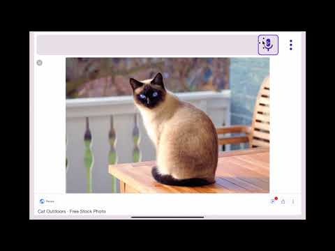 Jabberwocky gallery image