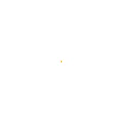 SlidesPro