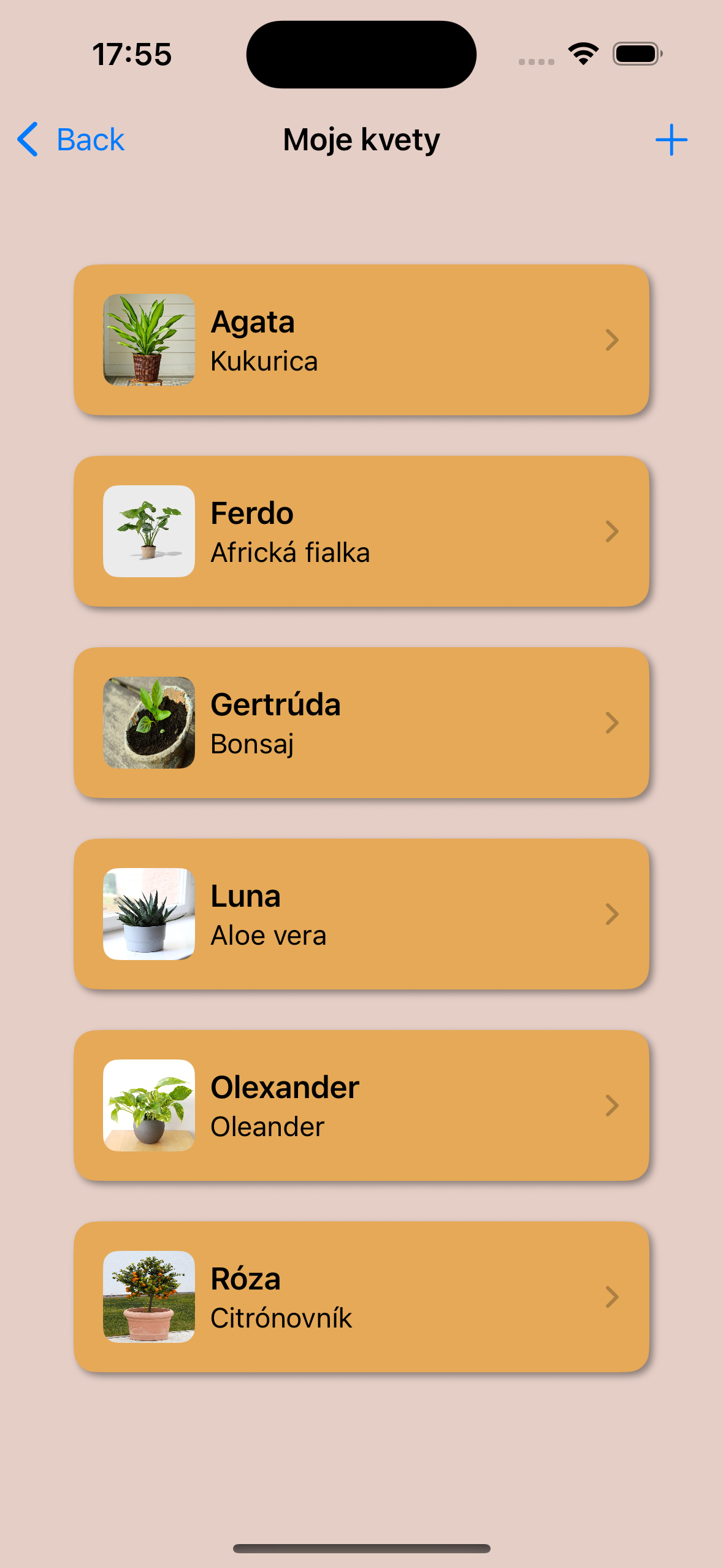 Pestuj - Slovak plant management application for home growers.  media 2