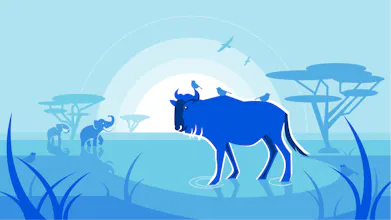 Cloudflare gallery image