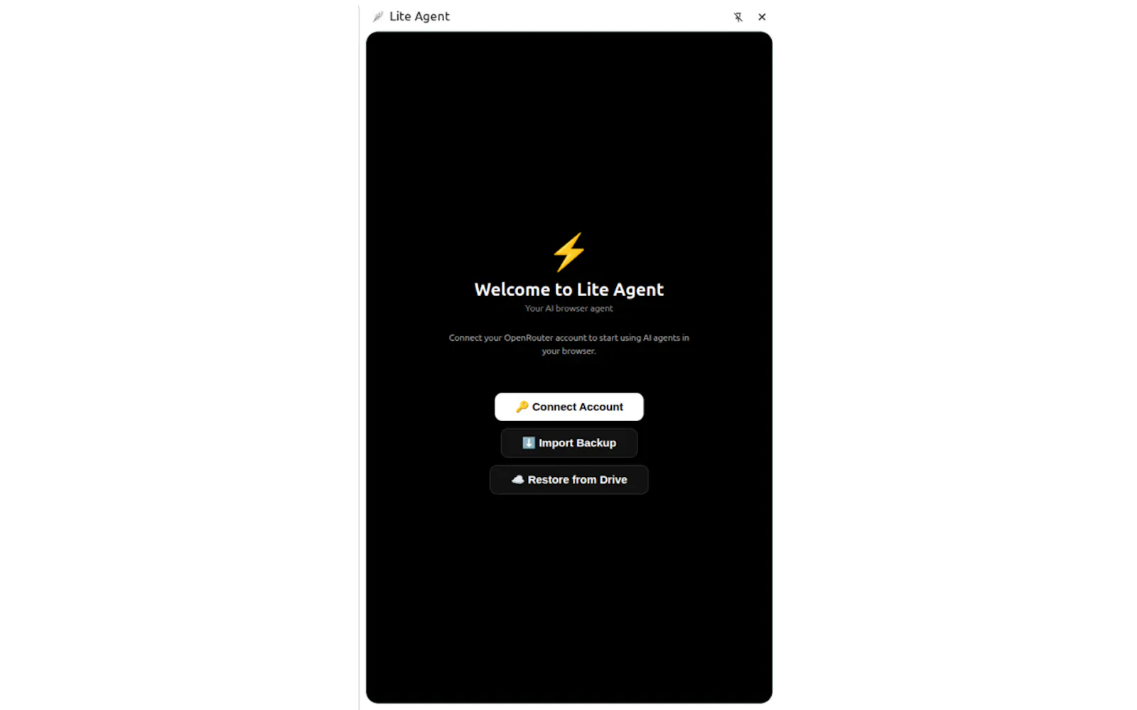 Lite Agent screenshot 8
