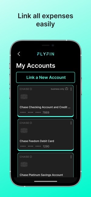 FlyFin A.I. gallery image