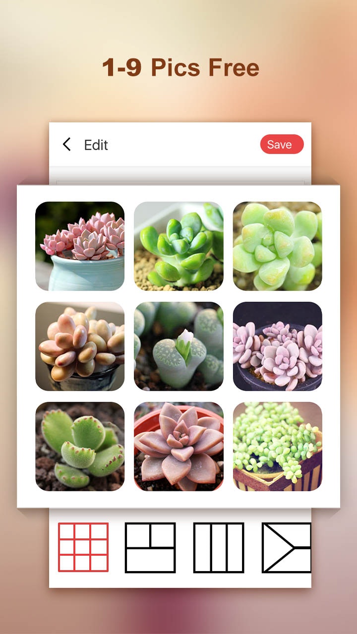 DU Collage Maker gallery image