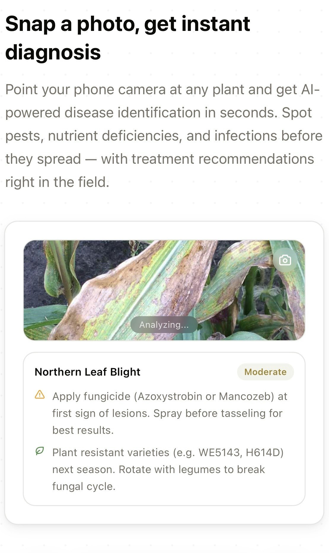 Cropple.AI gallery image