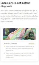 Cropple.AI gallery image