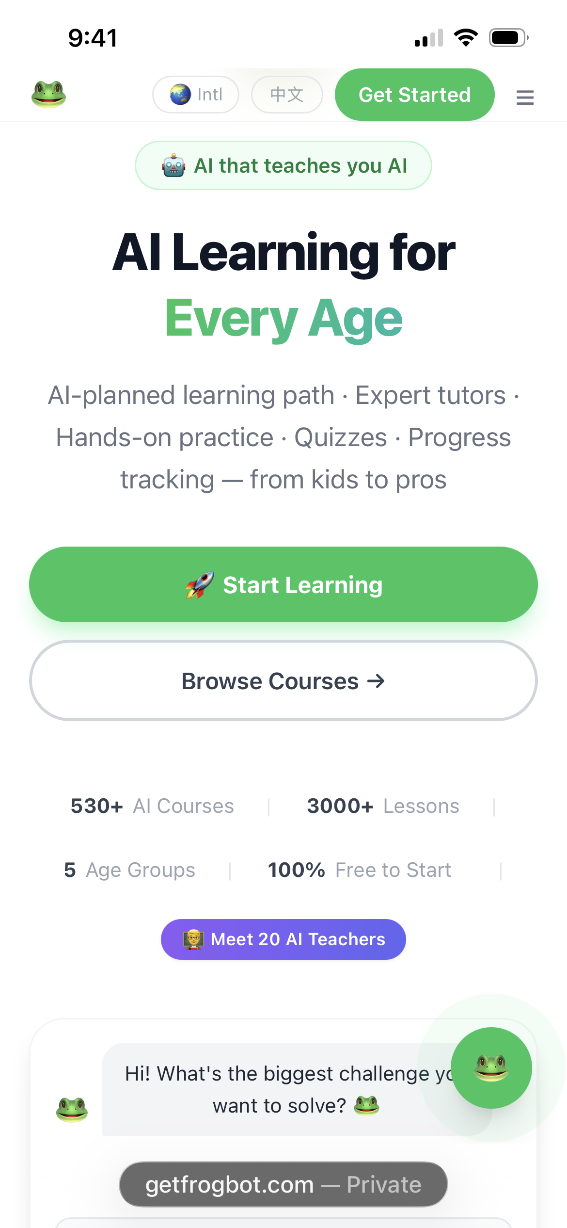 FrogBot AI Academy