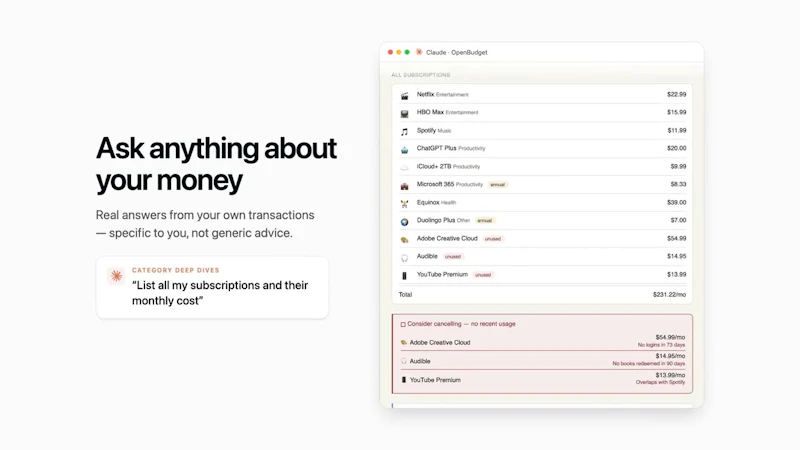 OpenBudget screenshot 1 (video preview)