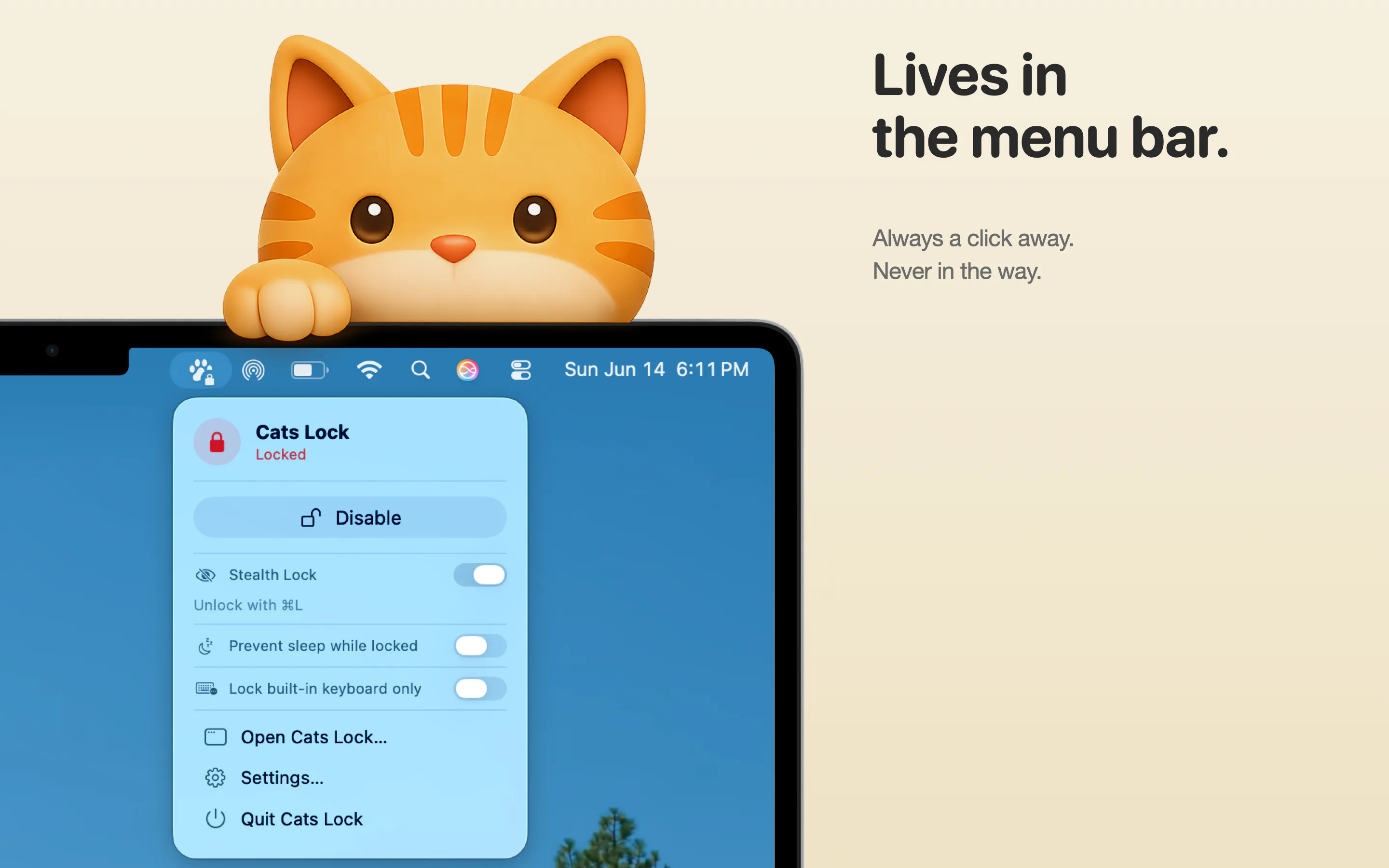 Cats Lock gallery image