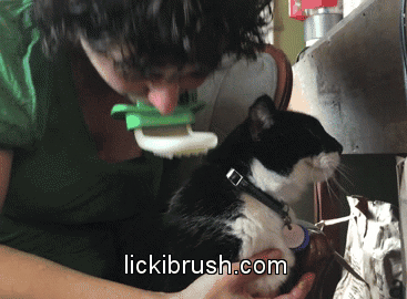 Licki Brush Product Information, Latest Updates, and Reviews 2024