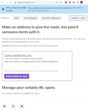 ⚡️Flashmint gallery image