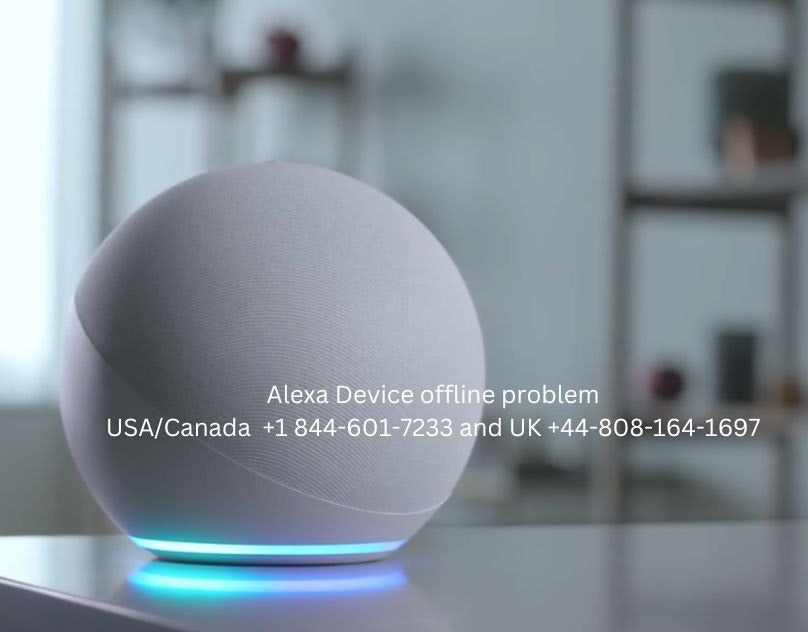 Alexa Device offline problem? solved it