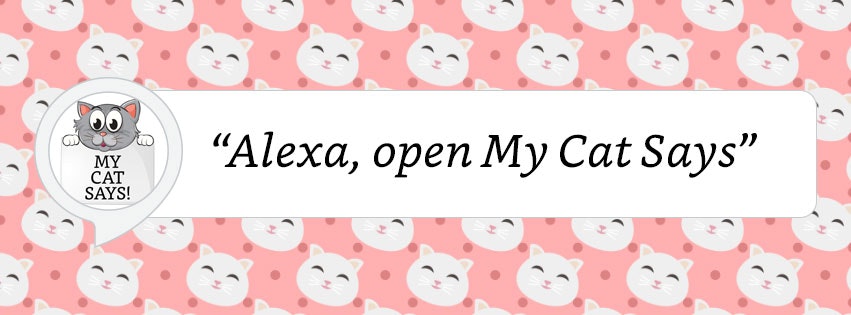 My Cat Says - Alexa Skill gallery image