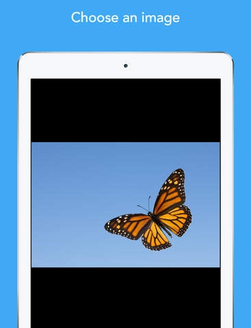 Colorscape gallery image