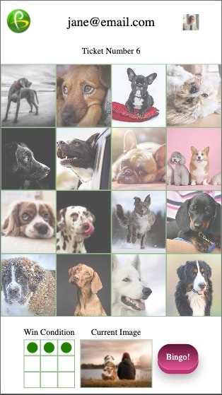 Polybingo gallery image