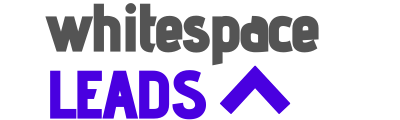 WhitespaceLeads.io