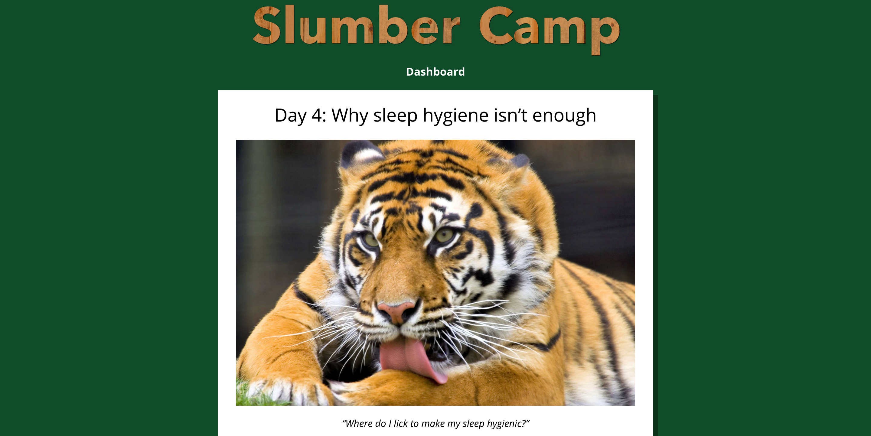 Slumber Camp gallery image
