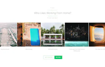 Instagreen gallery image