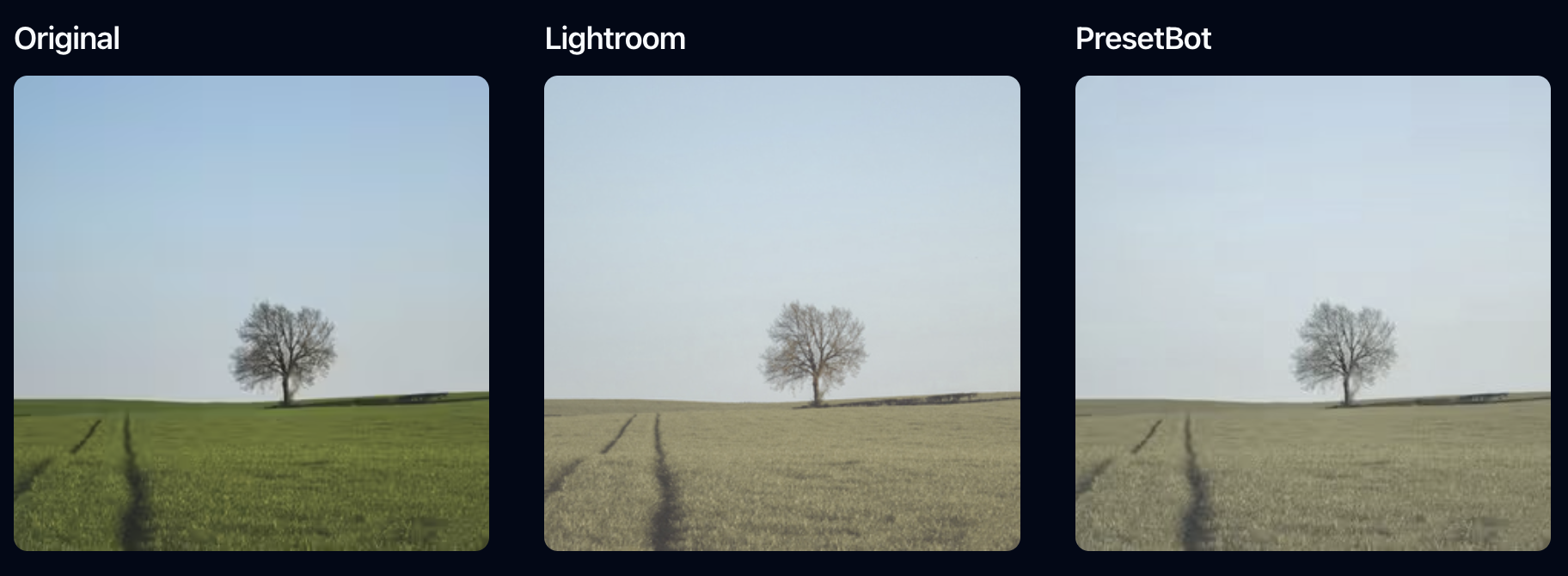 Presetbot - APIにLightroom/XMPフィルターを適用しますメディア2