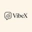 VibeX
