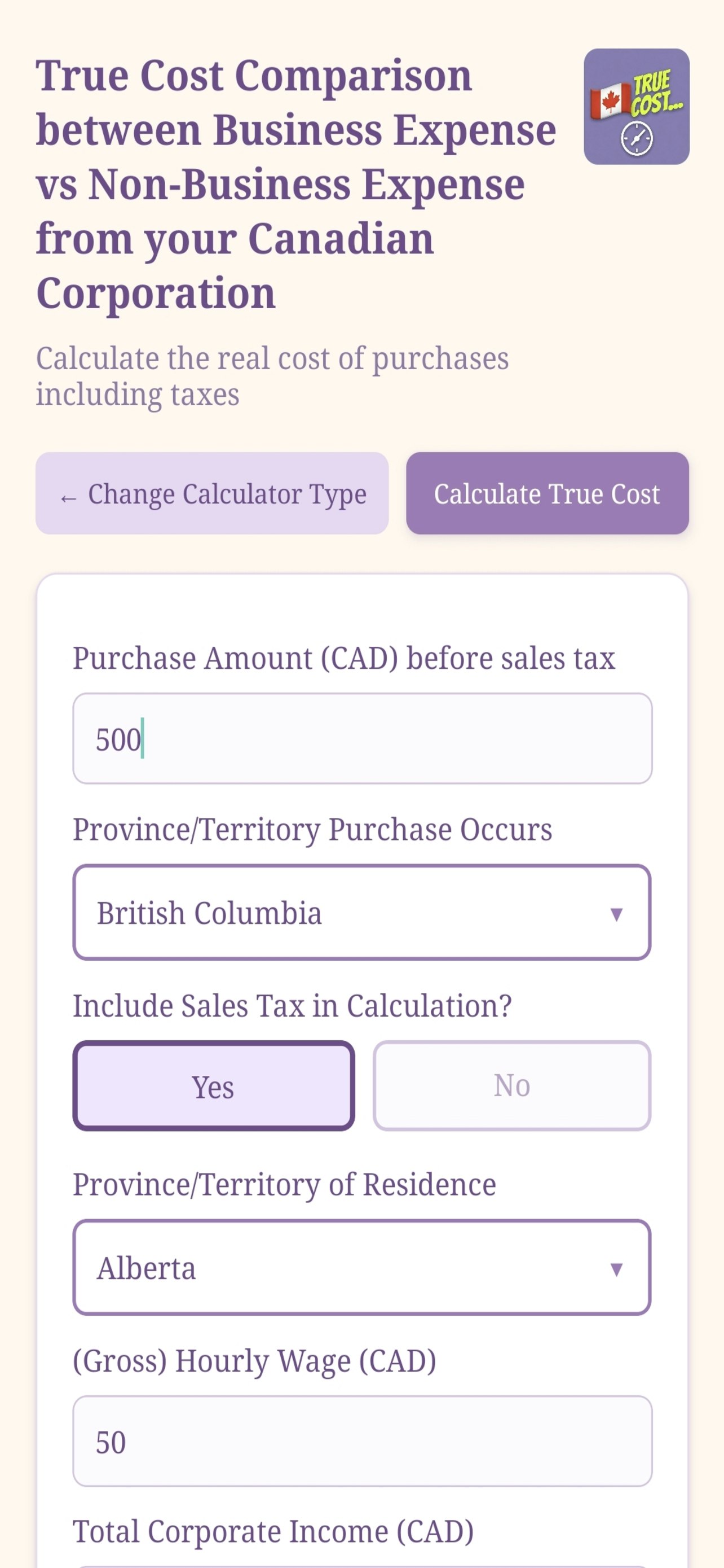 True Cost – Is It Worth It? gallery image