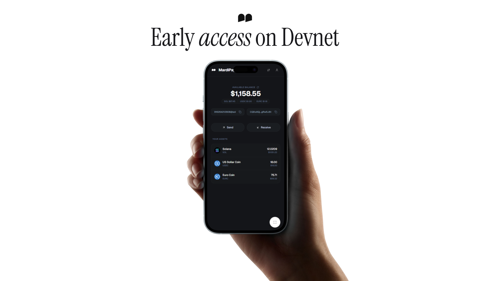 MardiPay gallery image