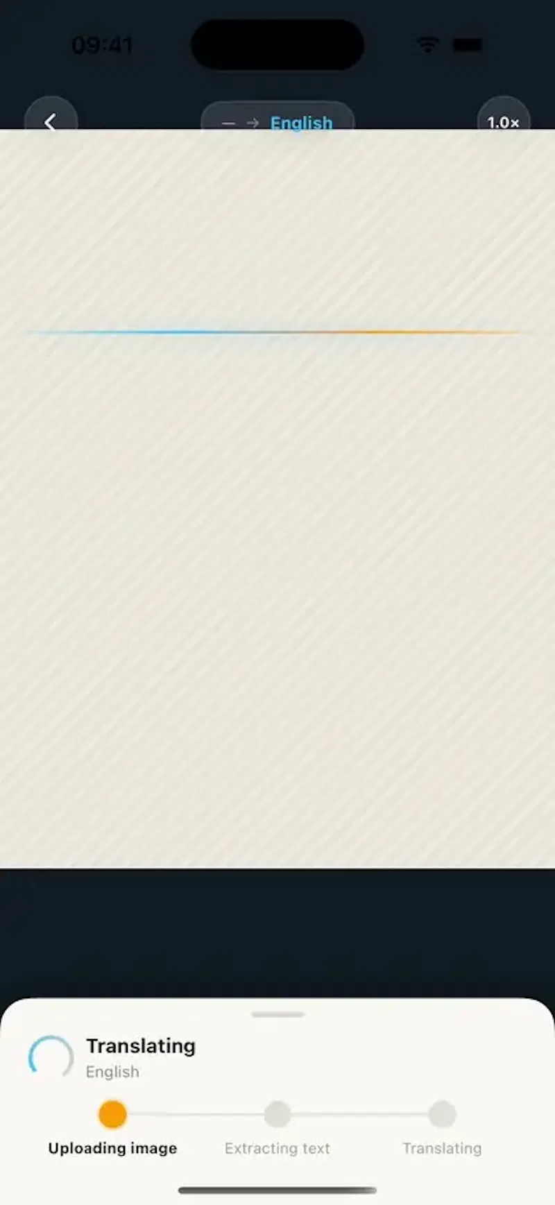 TransLemon screenshot 2