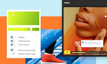Vimeo gallery image