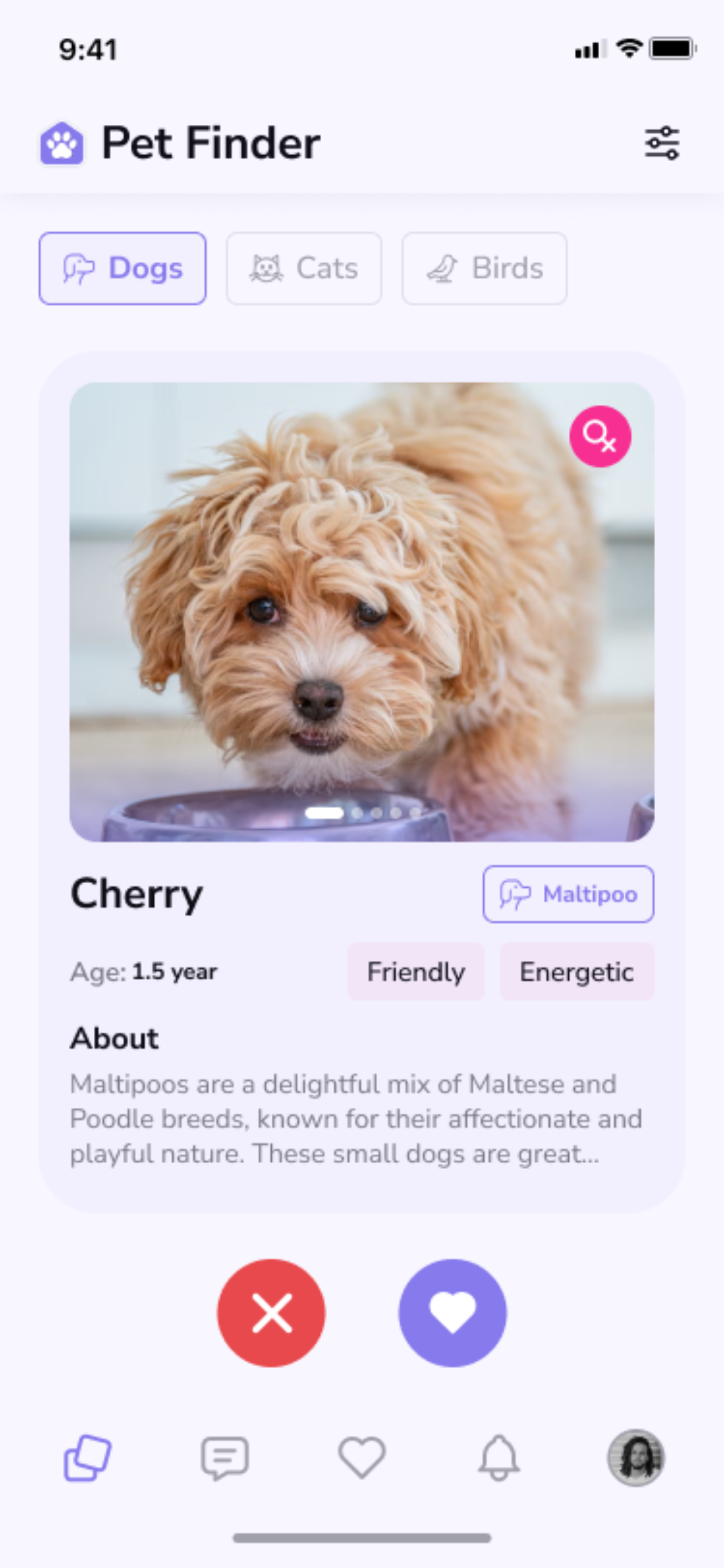 Pet Finder - Main product screenshot demonstrating key features and user interface