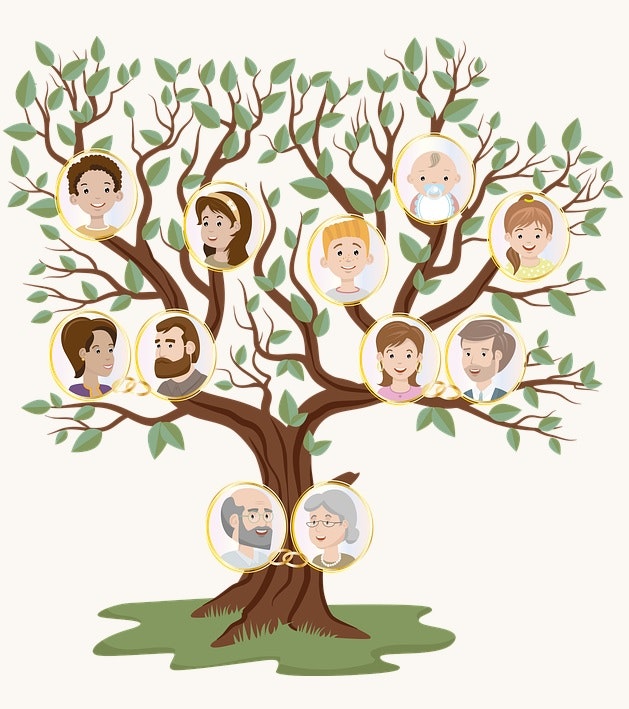 Family Tree Builder logo