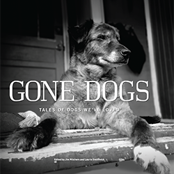 Gone Dogs