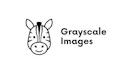 Grayscale Images