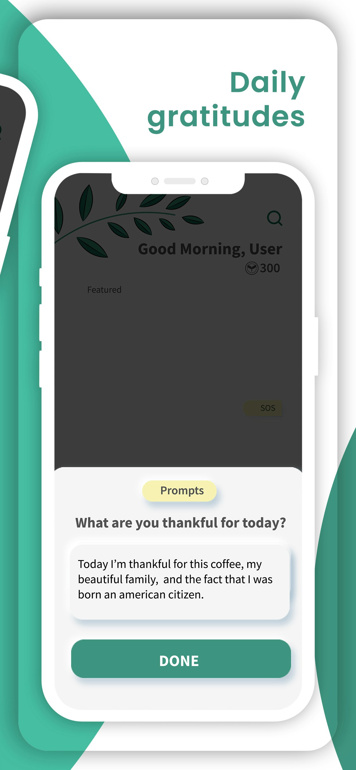MindGarden gallery image