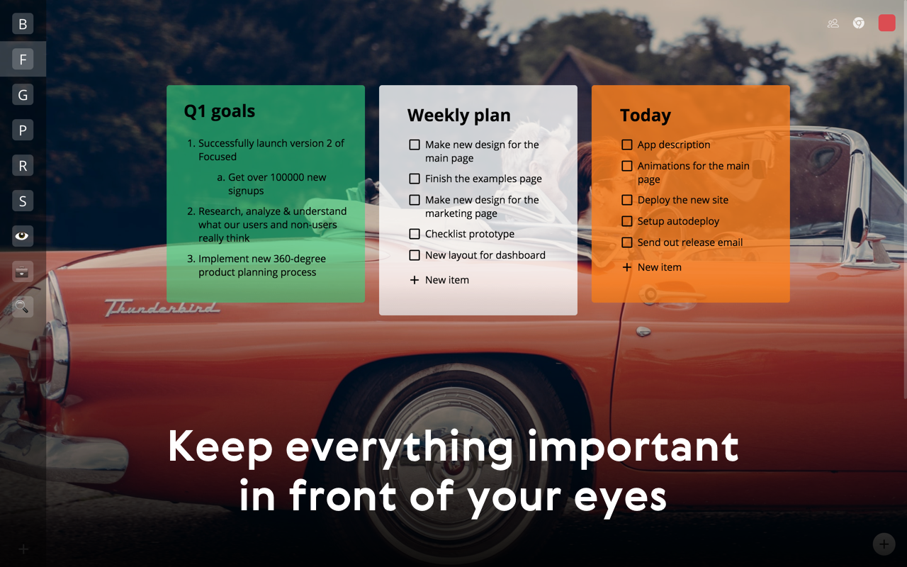 Focused gallery image